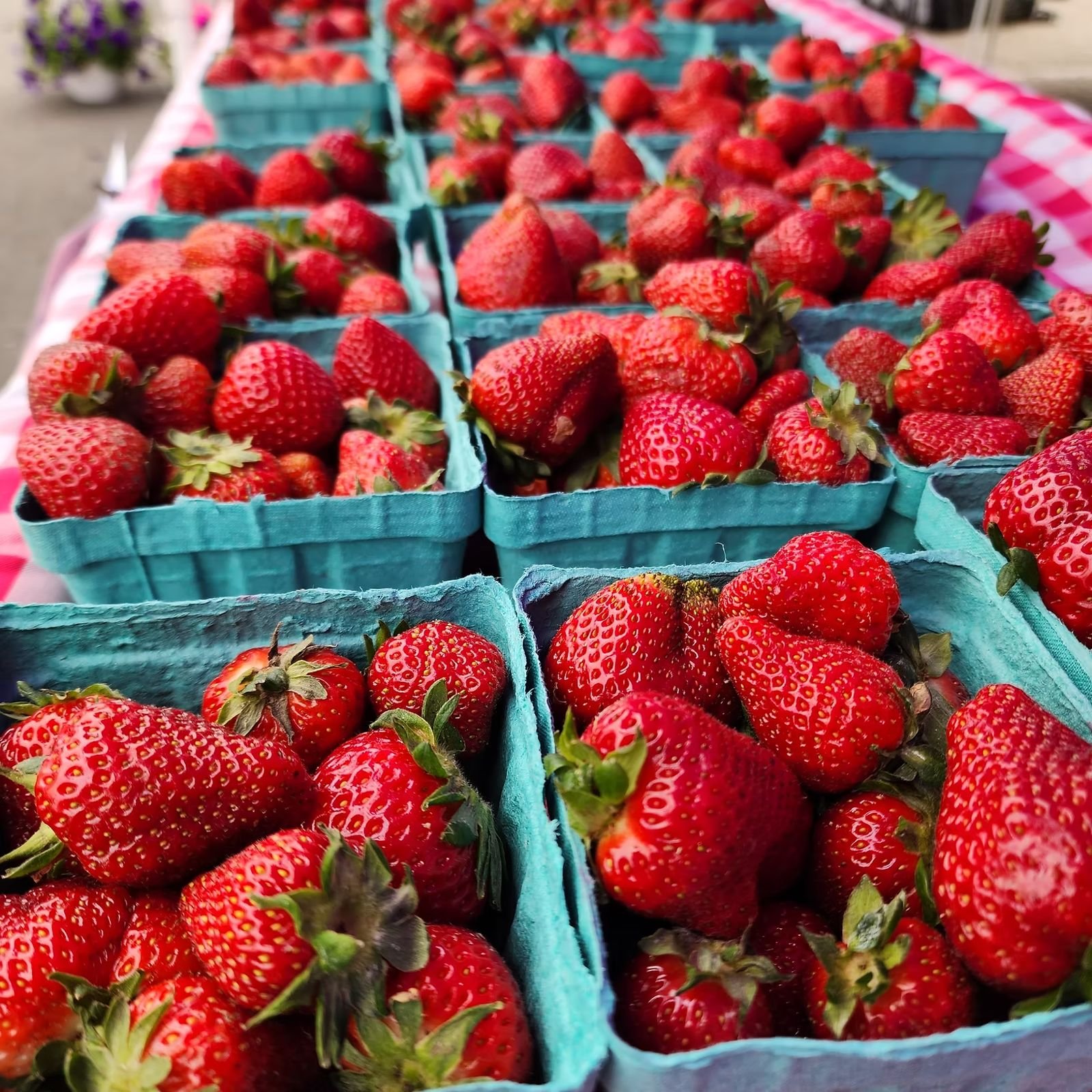 Baskets of fresh strawberries